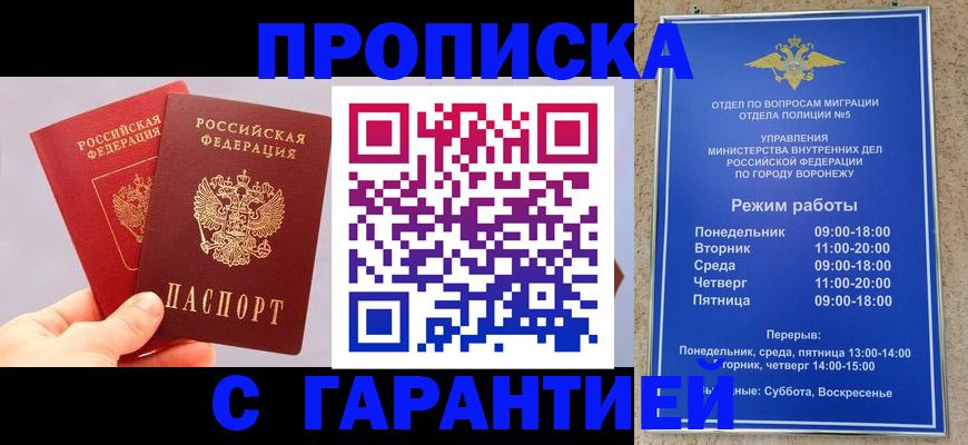прописка паспорт в Александрове